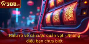 Hieu Ro Ve Ca Cuoc Quan Vot Nhung Ieu Ban Chua Biet