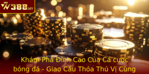 Kham Pha Inh Cao Cua Ca Cuoc Bong A Giao Cau Thoa Thu Vi Cung W388
