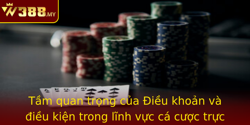 Điều khoản và điều kiện - khách hàng an tâm hợp tác 1 Tam Quan Trong Cua Strongieu Khoan Va Ieu Kienstrong Trong Linh Vuc Ca Cuoc Truc Tuyen W388