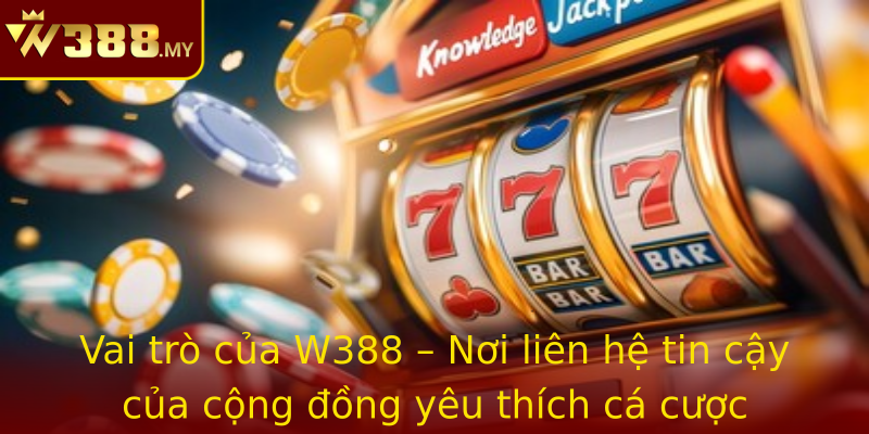 Vai Tro Cua Strongw388Strong Noi Lien He Tin Cay Cua Cong Ong Yeu Thich Ca Cuoc