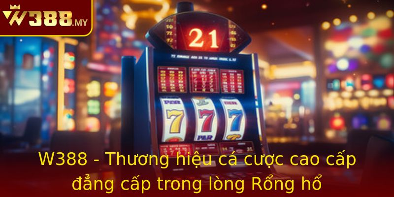 Rộng hổ - khám phá không gian đẳng cấp cùng W388 2 W388 Thuong Hieu Ca Cuoc Cao Cap Ang Cap Trong Long Strongrong Hostrong